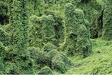 《塞尔达传说：王国之泪》不会在PAX East展出